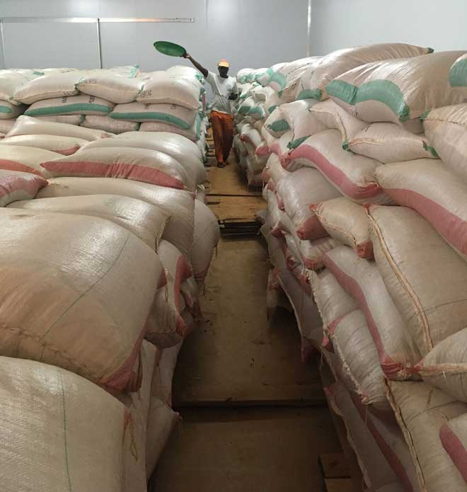     Jacoma činí s pomocí našeho software výkup plodin v Malawi férovým a efektivním
